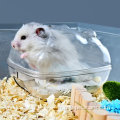 Visland Hamster Pet Sand Sand Bathtub de chauve-souris